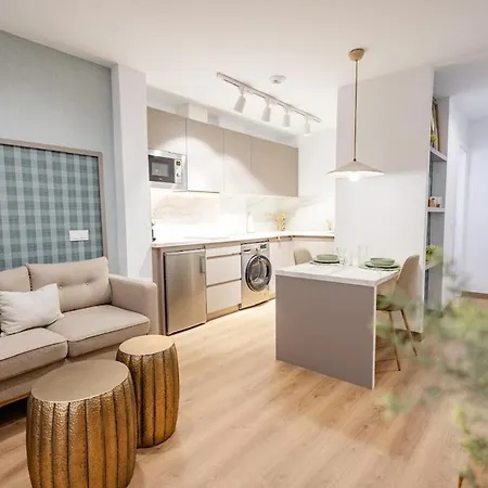 Alcaravaneras Loft Apartment