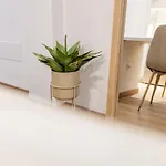 Alcaravaneras Loft Las Palmas de Gran Canaria